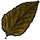 everquest icon 2215